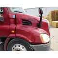 FREIGHTLINER CASCADIA 113 HOOD thumbnail 6
