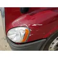FREIGHTLINER CASCADIA 113 HOOD thumbnail 7