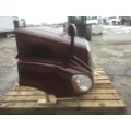 FREIGHTLINER CASCADIA 113 HOOD thumbnail 9