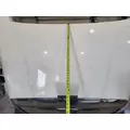 FREIGHTLINER CASCADIA 113 HOOD thumbnail 5