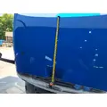 FREIGHTLINER CASCADIA 113 HOOD thumbnail 4