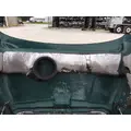 FREIGHTLINER CASCADIA 113 HOOD thumbnail 12