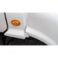 FREIGHTLINER CASCADIA 113 HOOD thumbnail 3