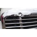 FREIGHTLINER CASCADIA 113 HOOD thumbnail 5