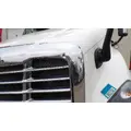 FREIGHTLINER CASCADIA 113 HOOD thumbnail 6