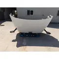 FREIGHTLINER CASCADIA 113 HOOD thumbnail 5