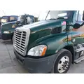 FREIGHTLINER CASCADIA 113 HOOD thumbnail 3