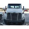 FREIGHTLINER CASCADIA 113 HOOD thumbnail 1