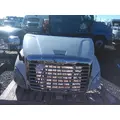 FREIGHTLINER CASCADIA 113 HOOD thumbnail 1
