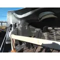 FREIGHTLINER CASCADIA 113 HOOD thumbnail 6