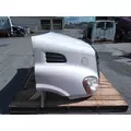 FREIGHTLINER CASCADIA 113 HOOD thumbnail 8