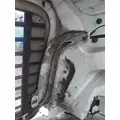 FREIGHTLINER CASCADIA 113 HOOD thumbnail 12