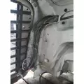 FREIGHTLINER CASCADIA 113 HOOD thumbnail 10