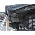 FREIGHTLINER CASCADIA 113 HOOD thumbnail 5