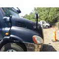 FREIGHTLINER CASCADIA 113 HOOD thumbnail 5