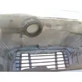 FREIGHTLINER CASCADIA 113 HOOD thumbnail 12