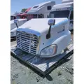 FREIGHTLINER CASCADIA 113 HOOD thumbnail 14