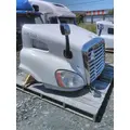 FREIGHTLINER CASCADIA 113 HOOD thumbnail 17