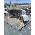 FREIGHTLINER CASCADIA 113 HOOD thumbnail 19