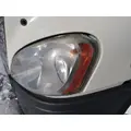 FREIGHTLINER CASCADIA 113 HOOD thumbnail 4