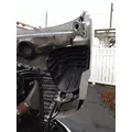 FREIGHTLINER CASCADIA 113 HOOD thumbnail 9