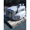 FREIGHTLINER CASCADIA 113 HOOD thumbnail 11