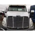 FREIGHTLINER CASCADIA 113 HOOD thumbnail 1
