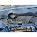 FREIGHTLINER CASCADIA 113 HOOD thumbnail 11