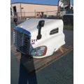 FREIGHTLINER CASCADIA 113 HOOD thumbnail 1