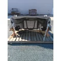 FREIGHTLINER CASCADIA 113 HOOD thumbnail 9
