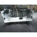 FREIGHTLINER CASCADIA 113 HOOD thumbnail 10