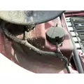 FREIGHTLINER CASCADIA 113 HOOD thumbnail 9