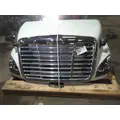 FREIGHTLINER CASCADIA 113 HOOD thumbnail 12