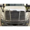 FREIGHTLINER CASCADIA 113 HOOD thumbnail 2