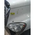 FREIGHTLINER CASCADIA 113 HOOD thumbnail 11