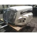 FREIGHTLINER CASCADIA 113 HOOD thumbnail 13