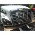 FREIGHTLINER CASCADIA 113 HOOD thumbnail 9