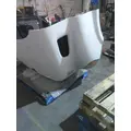 FREIGHTLINER CASCADIA 113 HOOD thumbnail 11