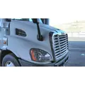 FREIGHTLINER CASCADIA 113 HOOD thumbnail 1