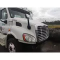 FREIGHTLINER CASCADIA 113 HOOD thumbnail 3