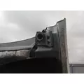 FREIGHTLINER CASCADIA 113 HOOD thumbnail 5