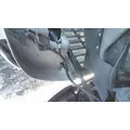 FREIGHTLINER CASCADIA 113 HOOD thumbnail 5