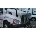 FREIGHTLINER CASCADIA 113 HOOD thumbnail 3