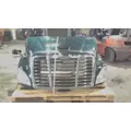 FREIGHTLINER CASCADIA 113 HOOD thumbnail 9