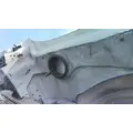FREIGHTLINER CASCADIA 113 HOOD thumbnail 7