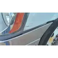 FREIGHTLINER CASCADIA 113 HOOD thumbnail 10
