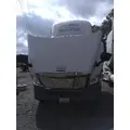 FREIGHTLINER CASCADIA 113 HOOD thumbnail 1