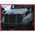 FREIGHTLINER CASCADIA 113 HOOD thumbnail 2