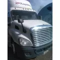 FREIGHTLINER CASCADIA 113 HOOD thumbnail 2