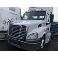 FREIGHTLINER CASCADIA 113 Hood thumbnail 1